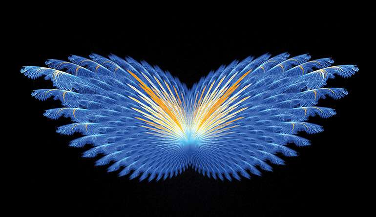 offre-papillon