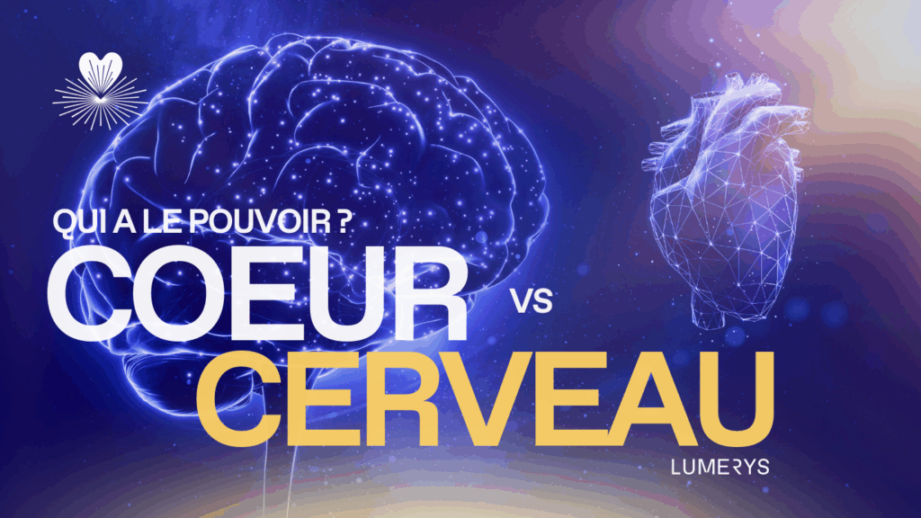 coeur vs cerveau